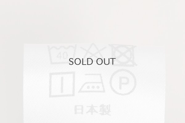 画像8: 別注カラー!! STAND COLLAR LONG SLEEVE TOP  (BG)