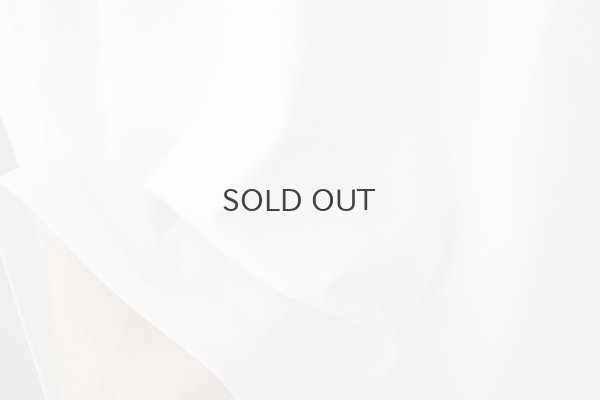 画像9: Souvenir T-Shirts "Paris" Beret Poodle