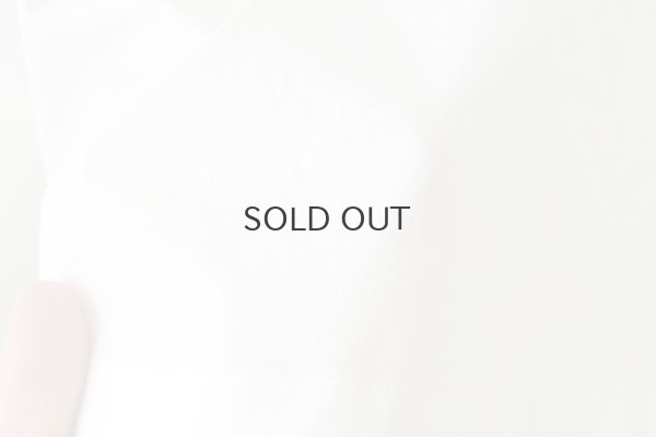 画像9: Jane Blouse