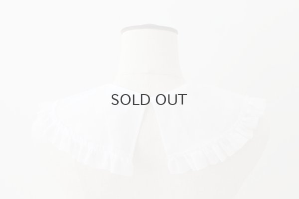 画像8: PURITAN COLLAR (WH)