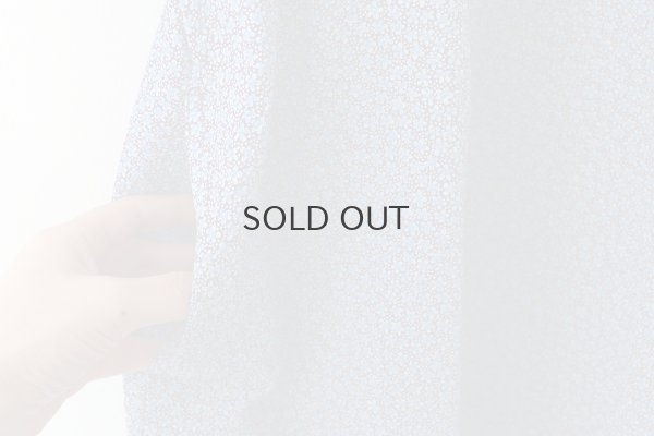 画像5: Bewitched dress (BL)