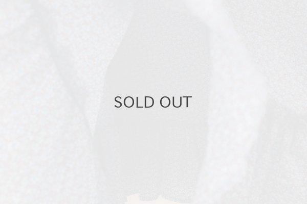 画像7: Bewitched dress (BL)