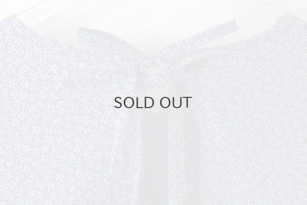 画像9: Bewitched dress (BL)