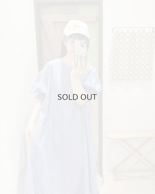 画像13: Bewitched dress (BL)