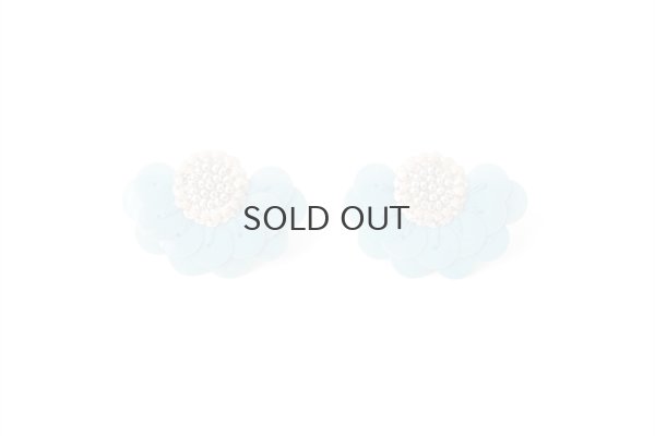 画像1: Sora/Silver