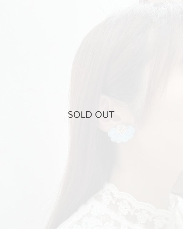 画像5: Sora/Silver