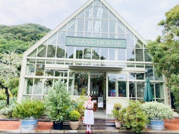 画像22: ☆ キャズエドゥミ 別注スペシャルアイテム sea fowl ドレス YS3750（WH）