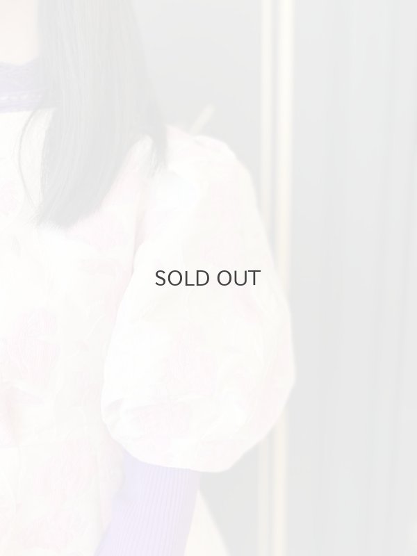 画像18: Silk t-shirt 5023 (NWH)