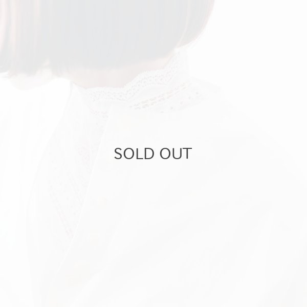 画像11: Silk t-shirt 5023 (NWH)