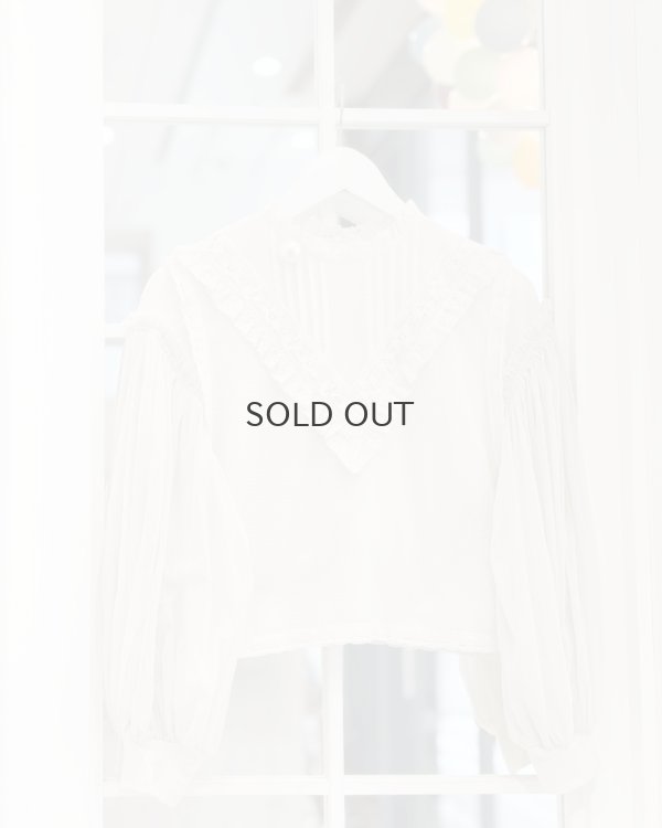 画像13: コットンメッシュ レースノースリーブブラウス (IV)