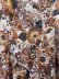画像7: blossom garden cupro print top (BR) (7)