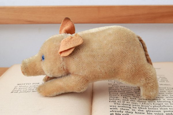 画像5: 年代不明シュタイフ社のブタ (Jolanthe)