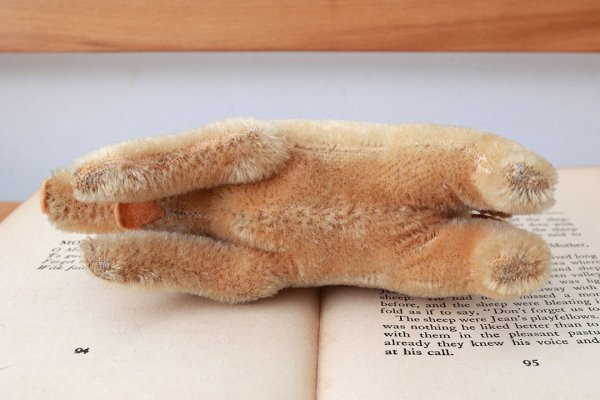 画像10: 年代不明シュタイフ社のブタ (Jolanthe)