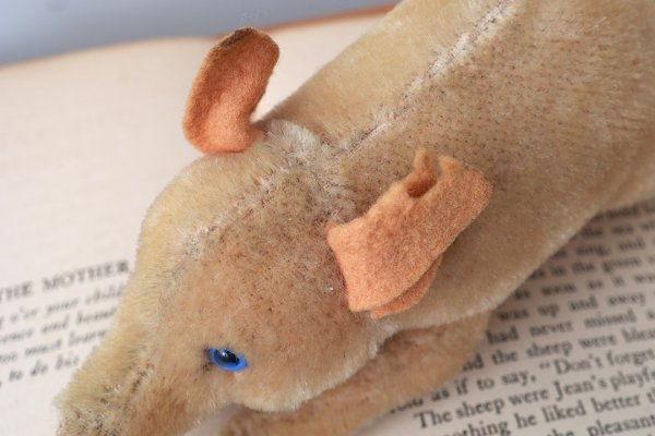 画像9: 年代不明シュタイフ社のブタ (Jolanthe)