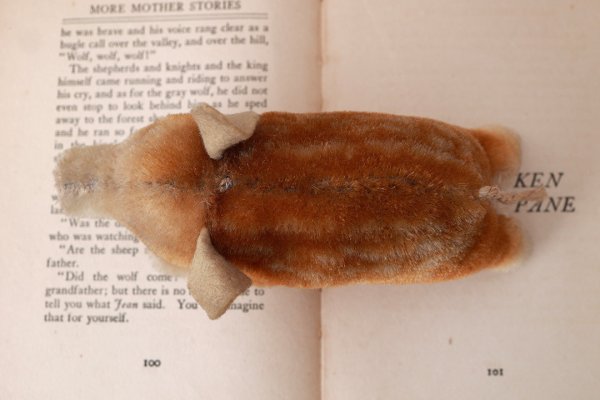 画像8: 年代不明シュタイフ社のイノシシ (Dalle)