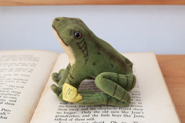 画像5: 1950年代シュタイフ社のカエル (Froggy)