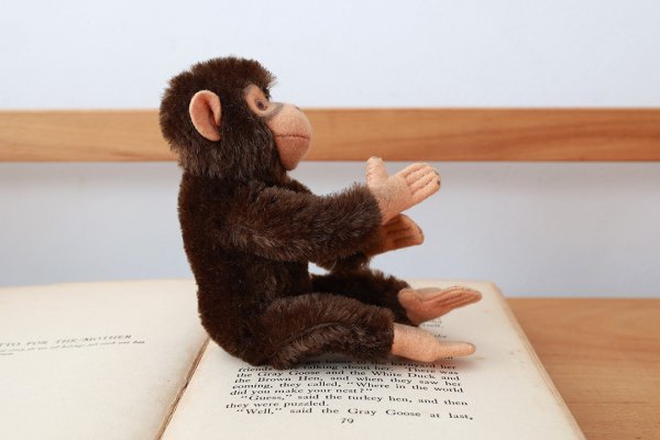 画像4: 1960年代シュタイフ社のチンパンジー (Jocko)