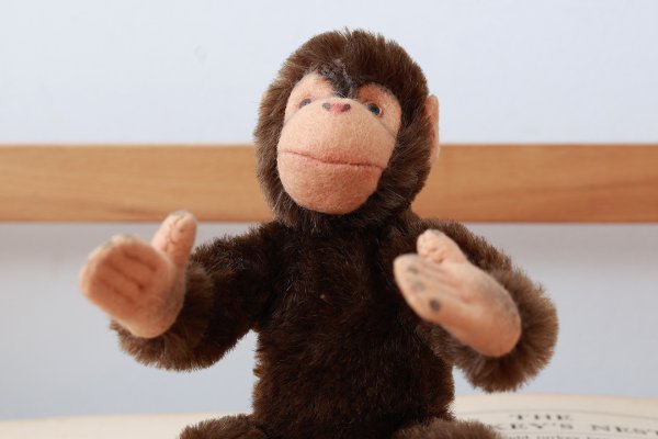 画像10: 1960年代シュタイフ社のチンパンジー (Jocko)