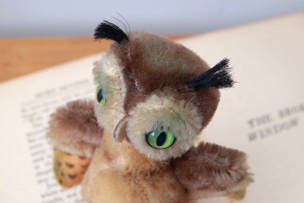画像5: 1960年代シュタイフ社のフクロウ (Wittie)