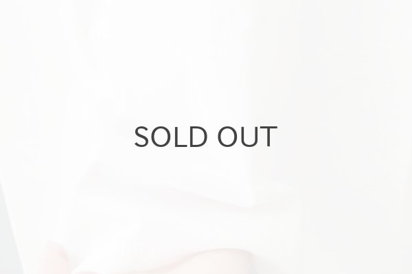 画像6: 30/-天竺 レース襟ノースリインナー(WH) (6)