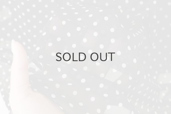 画像14: ドット刺繍 ワンピース (BK) (14)