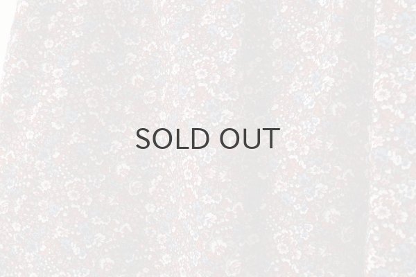 画像8: Dorothy frill pants (BD) (8)