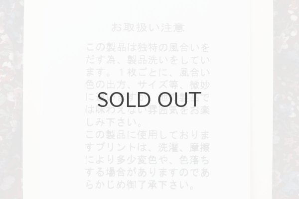 画像10: Dorothy frill pants (BD) (10)