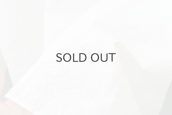 画像10: ワッシャータイプライター フリルカラーシャツ (WH) (10)