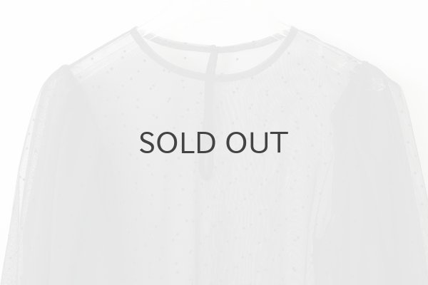 画像3: DOT tulle blouse (BK) (3)