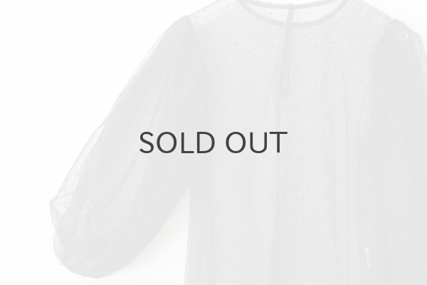 画像4: DOT tulle blouse (BK) (4)