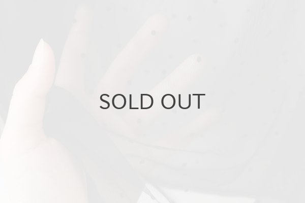 画像10: DOT tulle blouse (BK) (10)