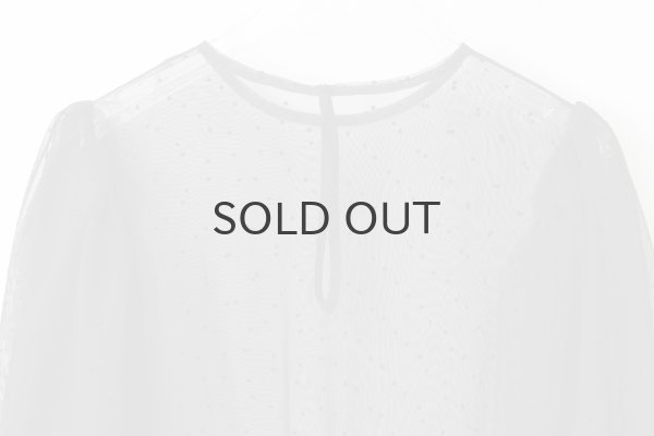 画像7: DOT tulle blouse (BK) (7)