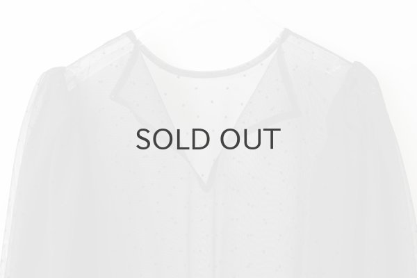 画像9: DOT tulle blouse (BK) (9)