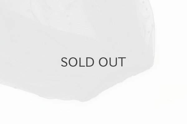 画像5: DOT tulle blouse (BK) (5)