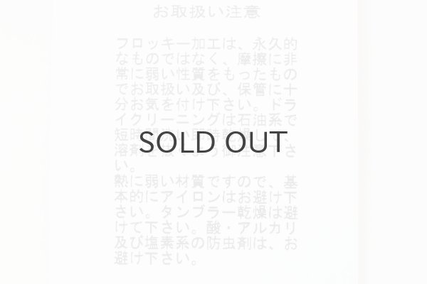 画像13: DOT tulle blouse (IV) (13)