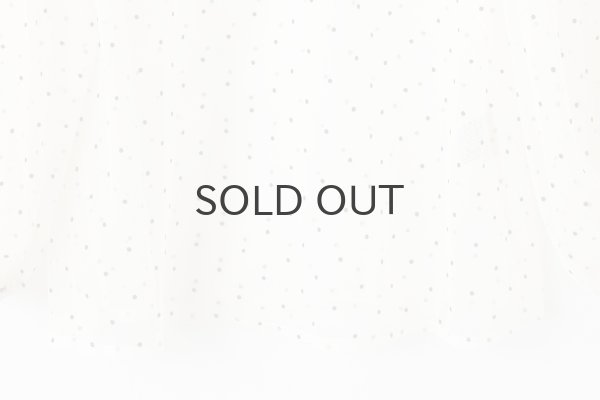 画像7: DOT tulle blouse (IV) (7)