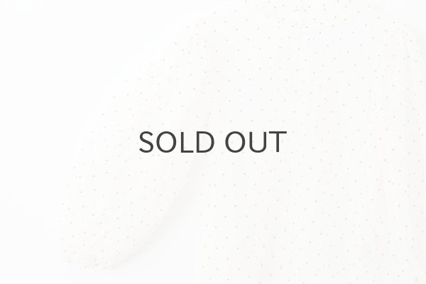 画像4: DOT tulle blouse (IV) (4)