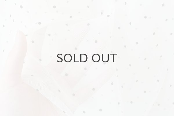 画像11: DOT tulle blouse (IV) (11)