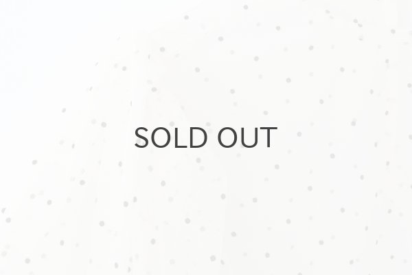 画像5: DOT tulle blouse (IV) (5)