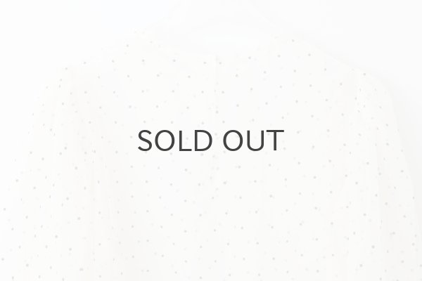 画像8: DOT tulle blouse (IV) (8)