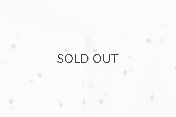 画像10: DOT tulle blouse (IV) (10)