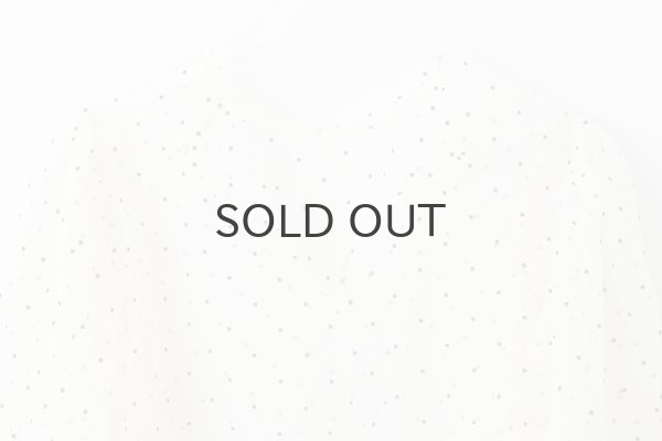 画像9: DOT tulle blouse (IV) (9)