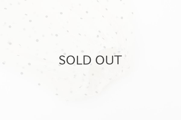 画像6: DOT tulle blouse (IV) (6)