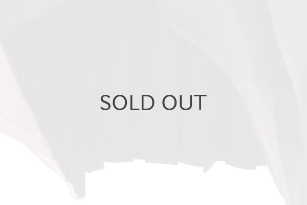 画像6:  2 / 60 サキソニー プリーツワンピース (BR) (6)