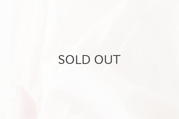 画像10: Minmin blouse (IV) (10)