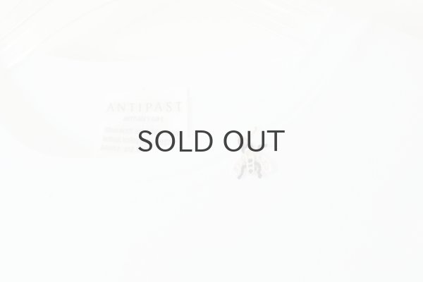 画像4: Cotton Frice crew neck T-shirts with Bee KNT0H (WH) (4)