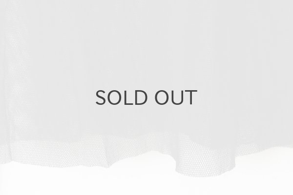 画像5: Mesh Shirt with Flock MT117D-F78 (BK×IV) (5)