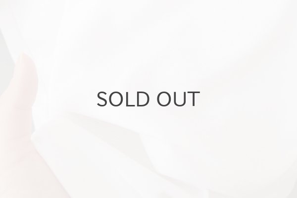 画像11: Cotton Frice T-Shirts With Mesh Sleeves KNT253 (WH) (11)