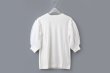 画像1: COTTON FREICE T-SHIRT w/MESH SLEEVES (KNT253A:WH) (1)
