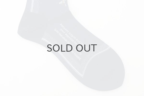 画像11: BOTANICAL XVI SOCKS (AM-801) (11)